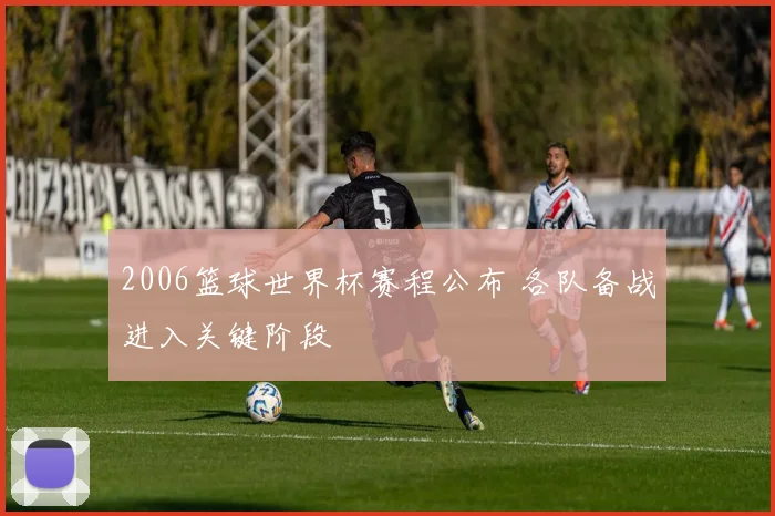 2006篮球世界杯赛程公布 各队备战进入关键阶段