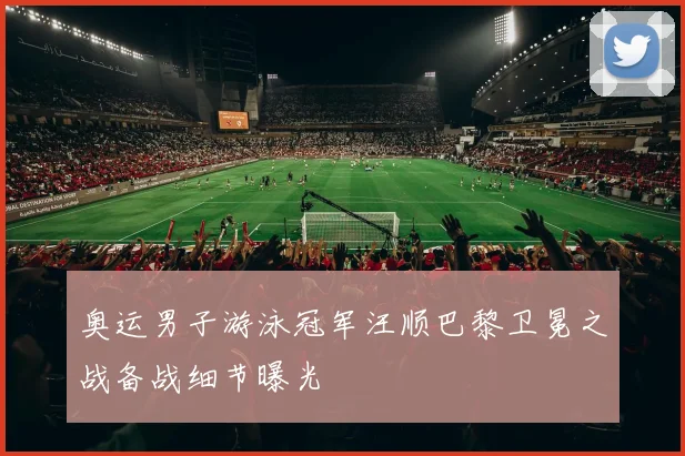奥运男子游泳冠军汪顺巴黎卫冕之战备战细节曝光