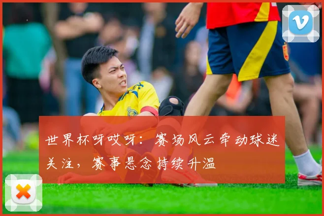世界杯呀哎呀:赛场风云牵动球迷关注,赛事悬念持续升温