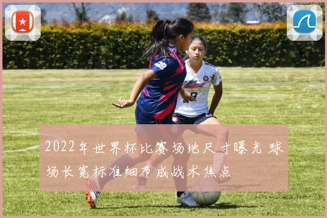 2022年世界杯比赛场地尺寸曝光 球场长宽标准细节成战术焦点