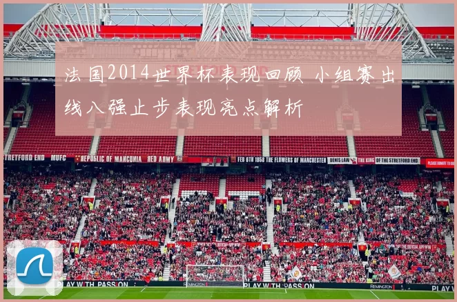 法国2014世界杯表现回顾 小组赛出线八强止步表现亮点解析