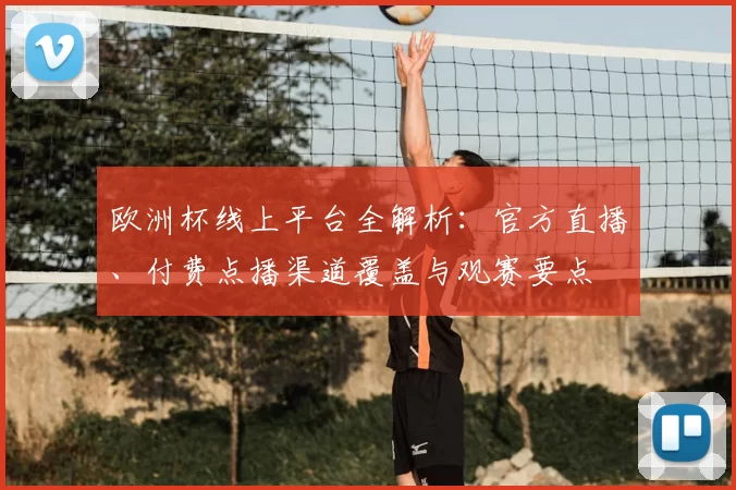 欧洲杯线上平台全解析：官方直播、付费点播渠道覆盖与观赛要点