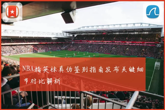 NBA精英袜真伪鉴别指南发布关键细节对比解析