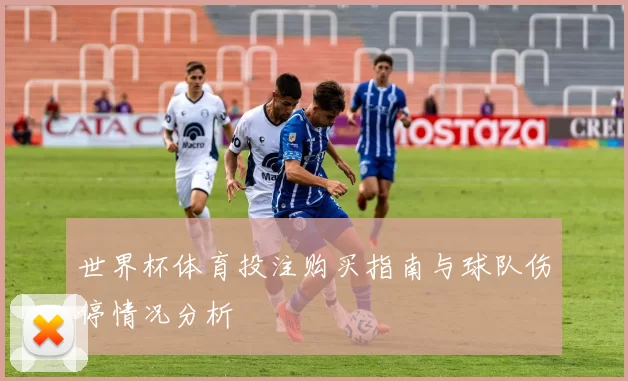 世界杯体育投注购买指南与球队伤停情况分析
