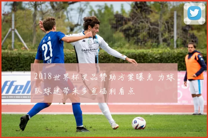 2018世界杯奖品赞助方案曝光 为球队球迷带来多重福利看点