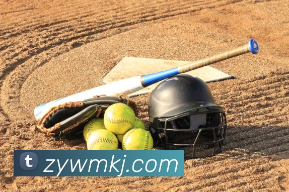 米兰app体育下载APP 封面图